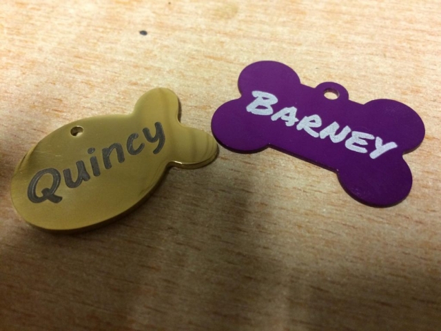 127274257_534908464570575_6967234956515118039_o